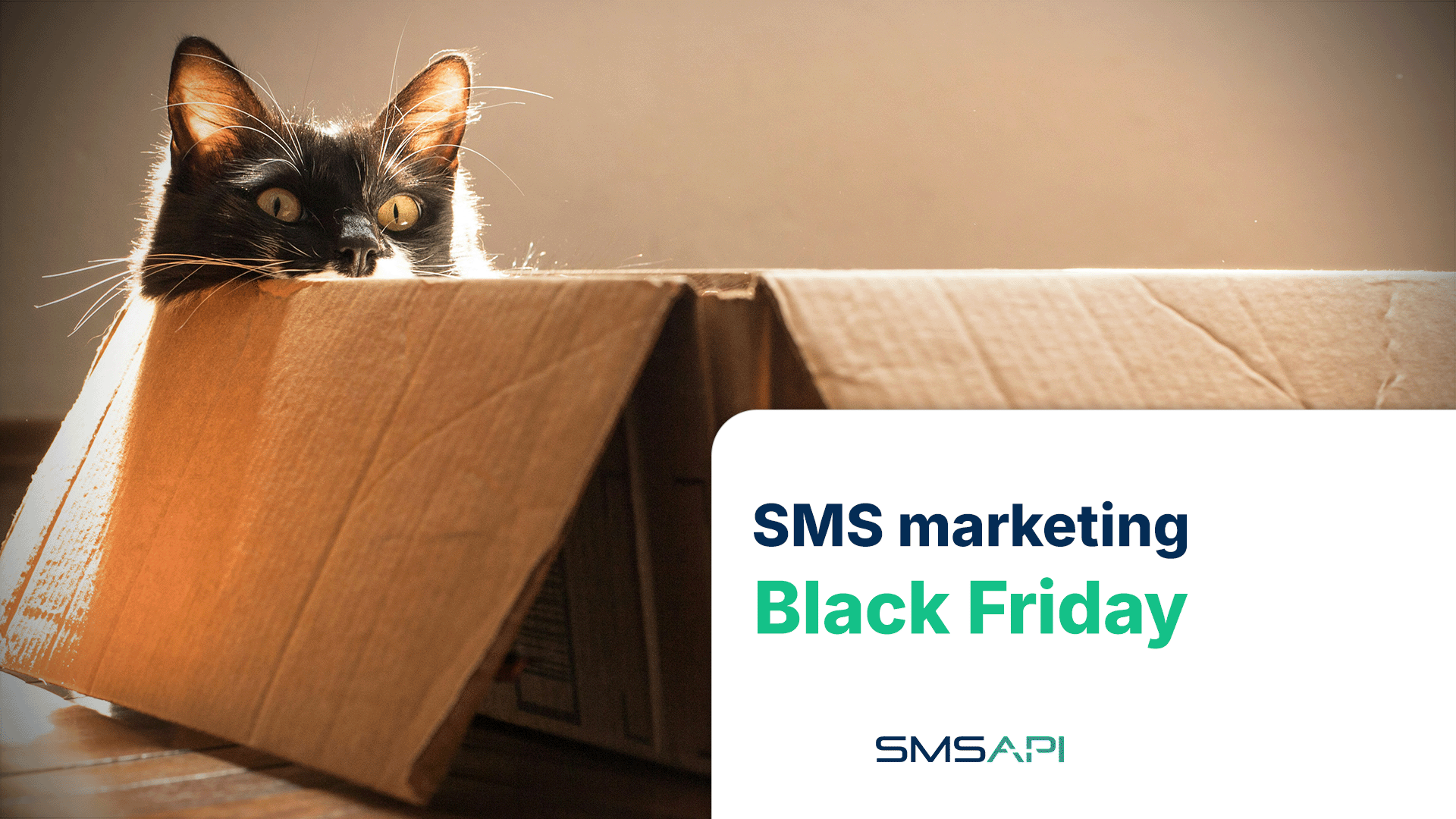 SMS marketing Black Friday 2025